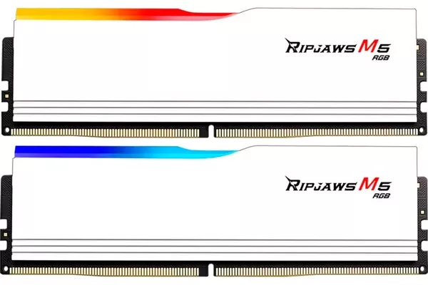 F5-5200J4040A32GX2-RM5RW, Memoria RAM