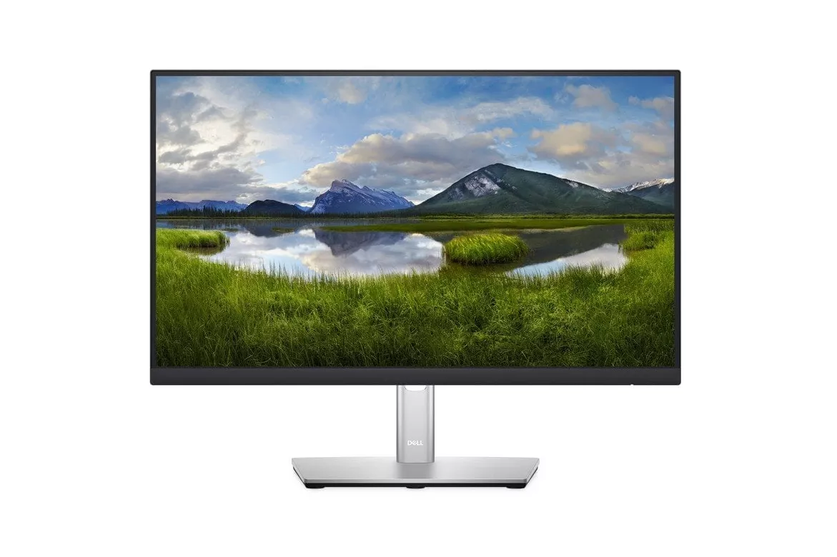 Dell P2222H 21.5