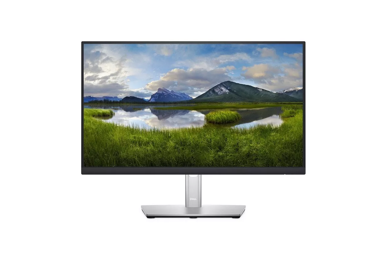 Dell P2422H 23.8