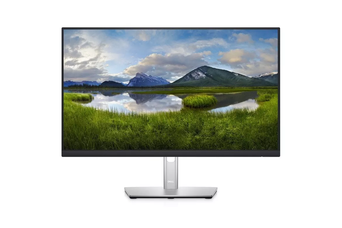 Dell P2422HE 23.8