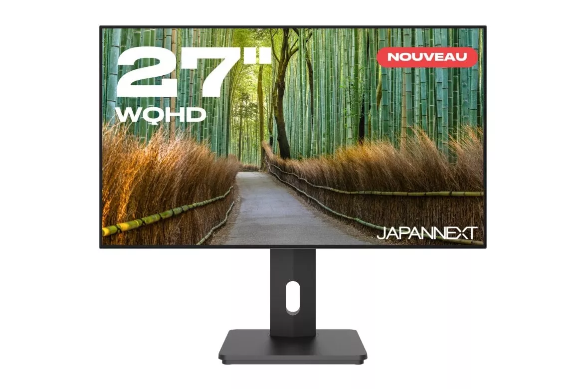 JAPANNEXT JN-27IPS4FLWQHDR-HSP 27