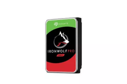 MULTIPACK 2 IRONWOLF PRO NT INT 10TB