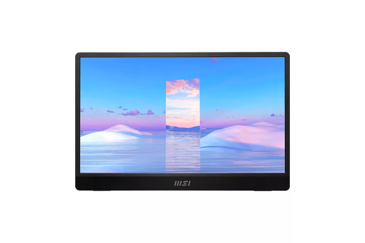 MONITOR 15.6 MSI PRO MP161 IRON GRAY