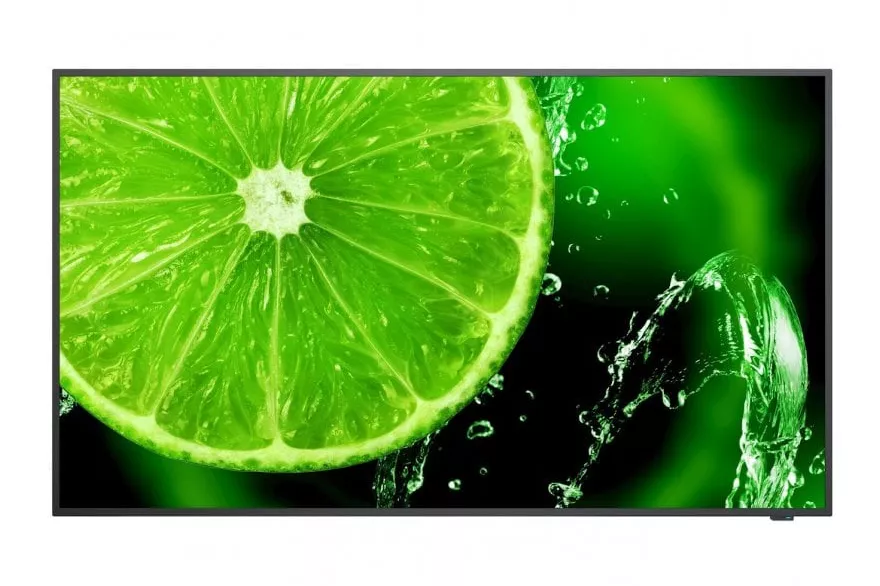 NEC MultiSync E498 49