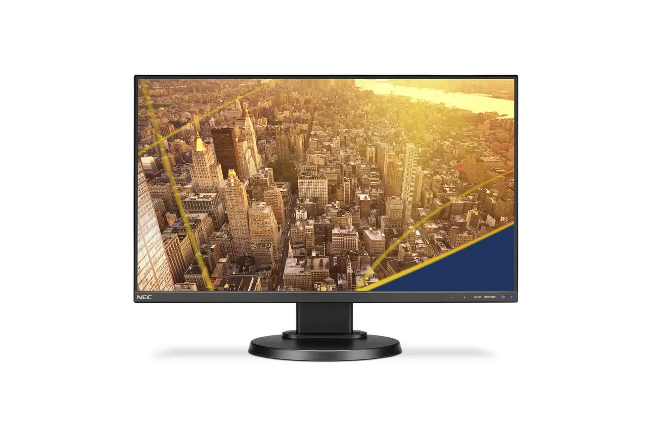 Nec MultiSync E221N 22