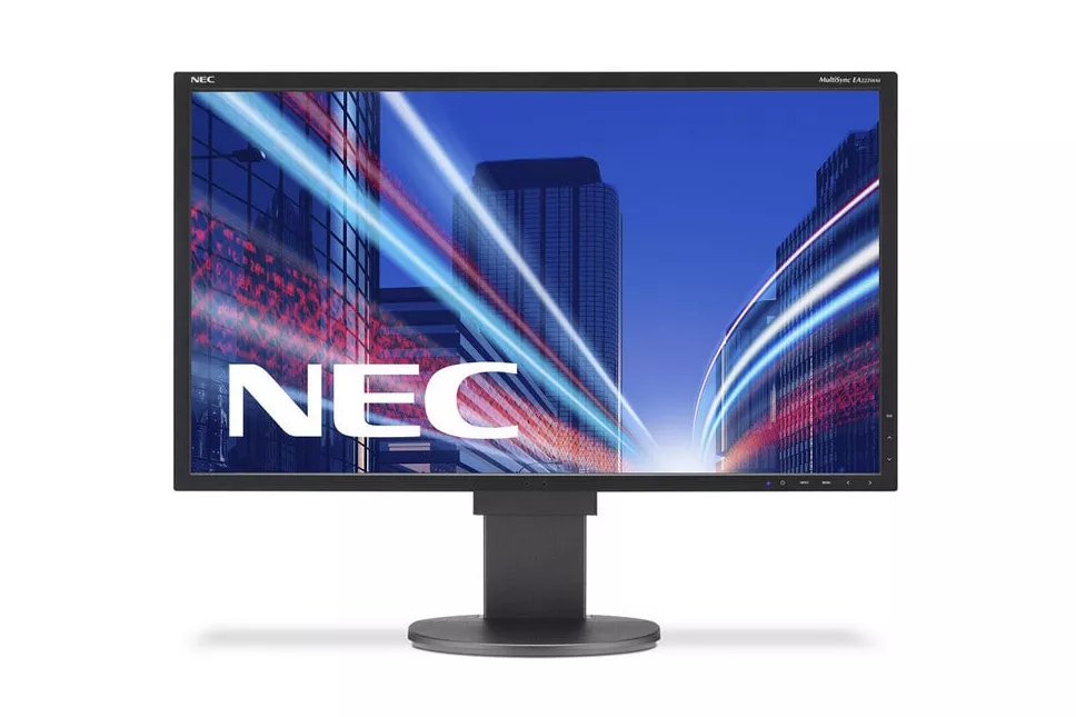 NEC MultiSync EA223WM 22