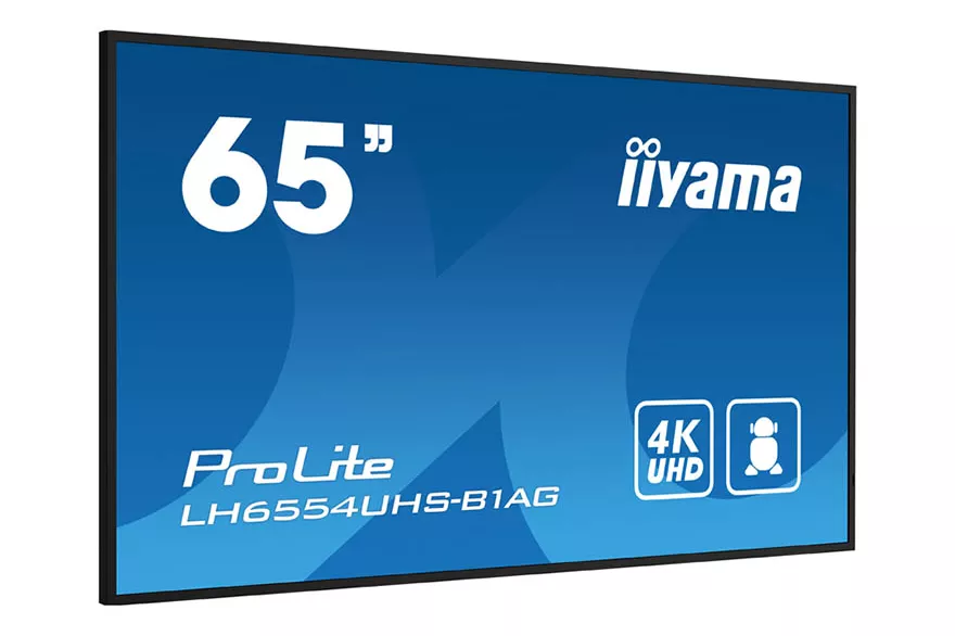 Monitor iiyama ProLite LH6554UHS-B1AG 65