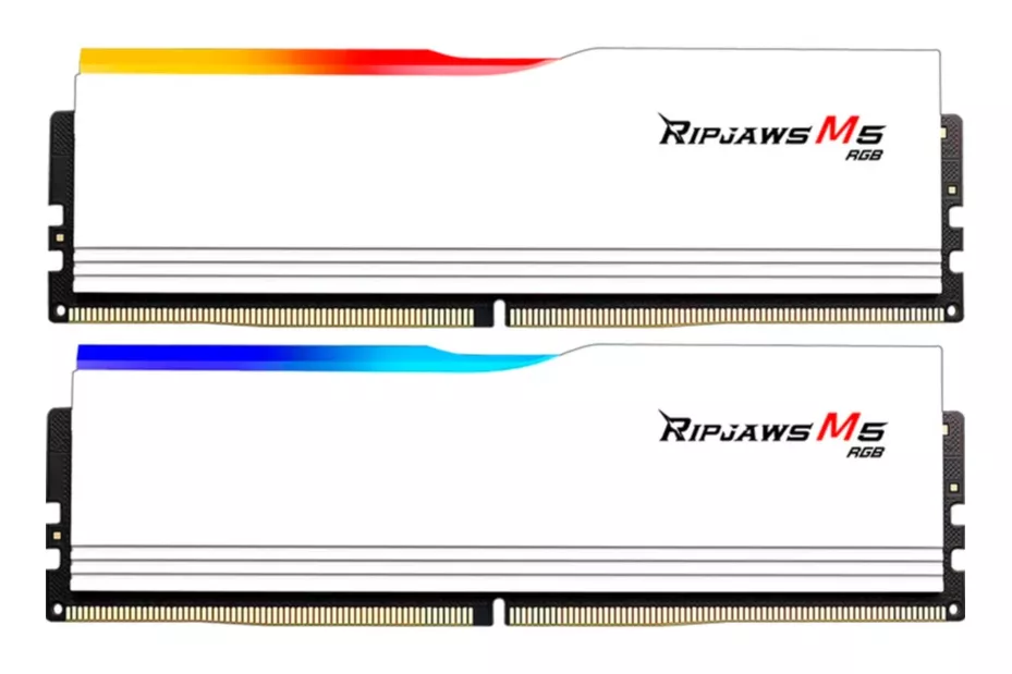 F5-6000J3636F16GX2-RM5RW, Memoria RAM