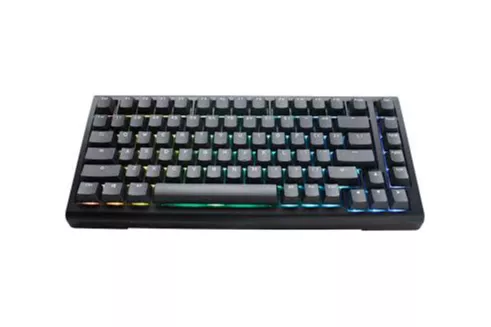 Teclado Mecânico Ducky Tinker65 75% RGB Black MX Speed Silver (ES)