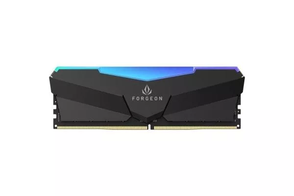 Forgeon Cyclone PRO RGB DDR5 6400 MHz 32GB 2x16GB CL32 Negra