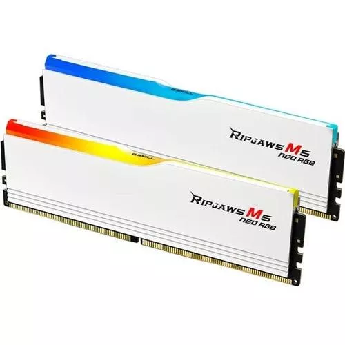 F5-6000J3636F16GX2-RM5NRW, Memoria RAM