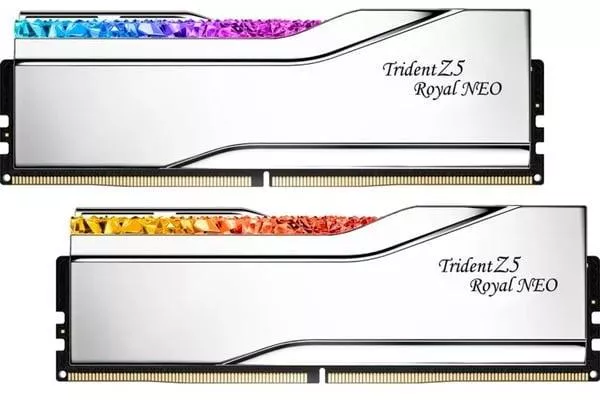 F5-8000J4048G24GX2-TR5NS, Memoria RAM