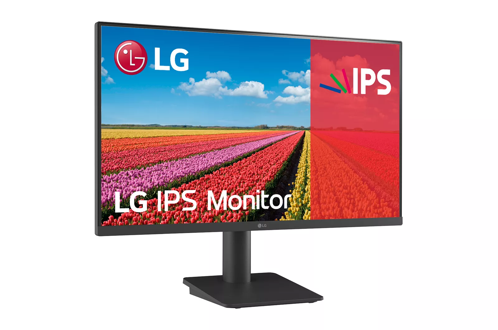 LG 25MS550-B - Monitor 24.5