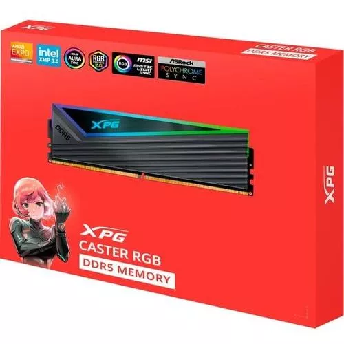 AX5U6000C3016G-DCCARGY, Memoria RAM