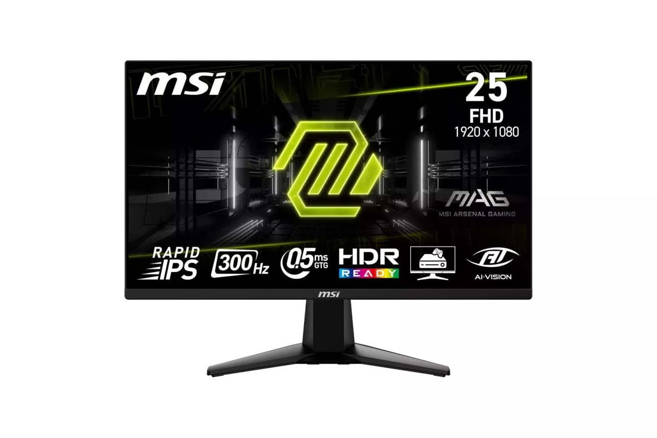 MSI MAG 255XF 24.5
