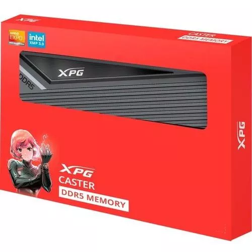 AX5U6000C3032G-DCCAGY, Memoria RAM