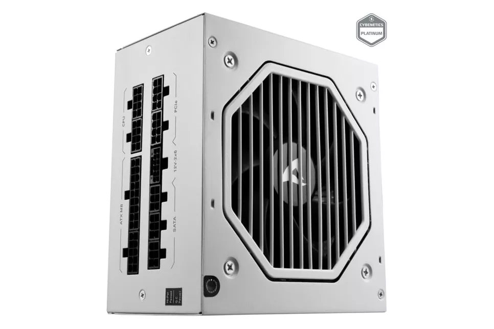 Rebel P20 1000 White, Fuente de alimentación de PC