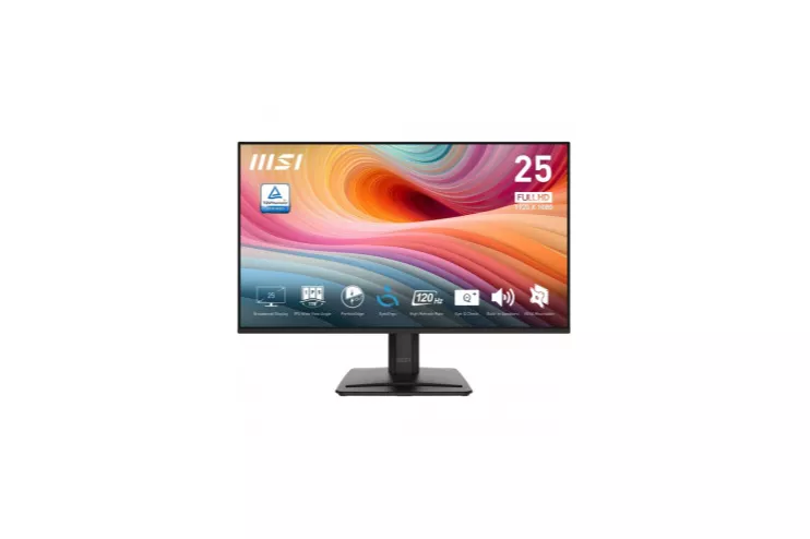 MSI Pro MP251 E2 - Monitor 24.5