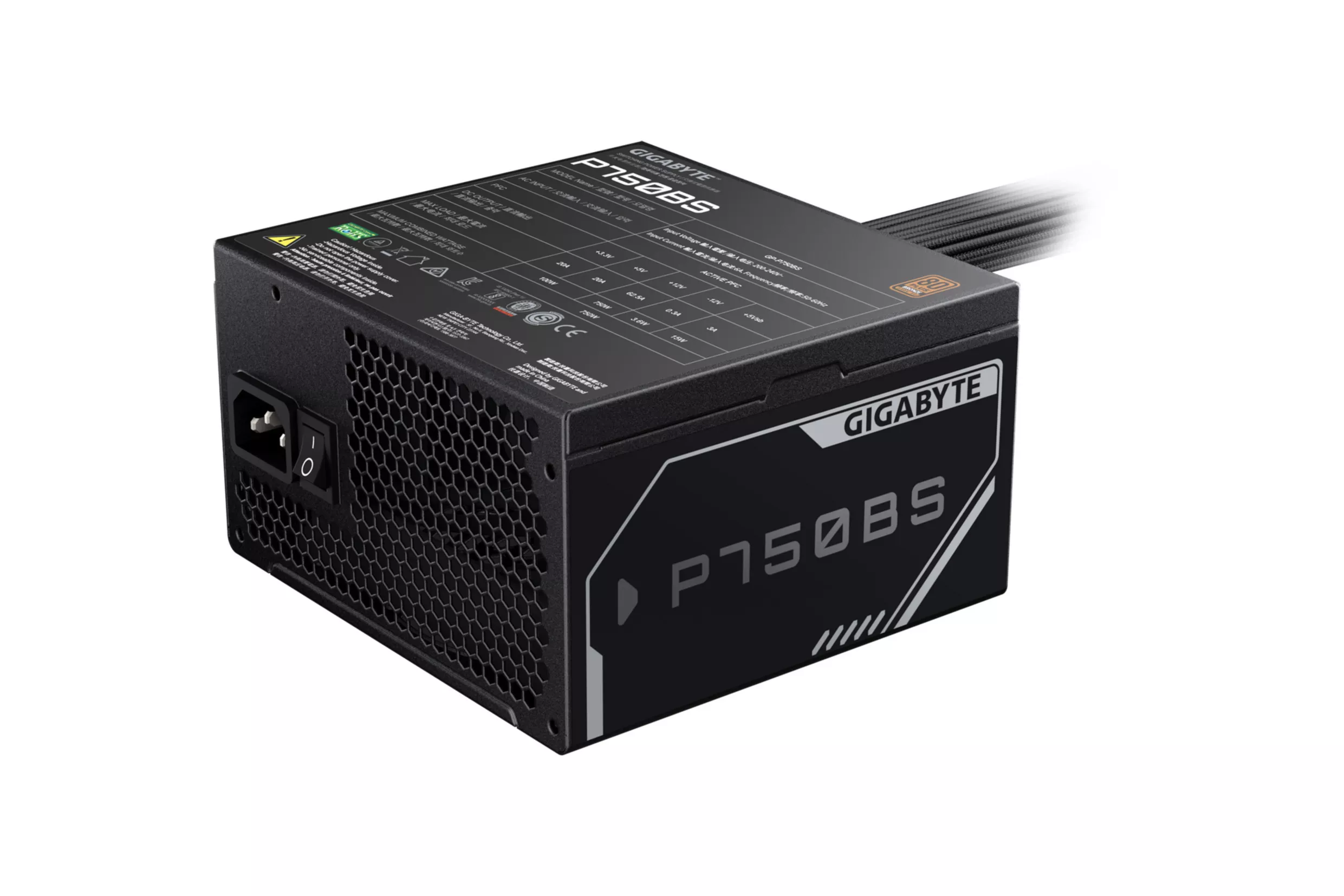 GP-P 750 BS, Fuente de alimentación de PC