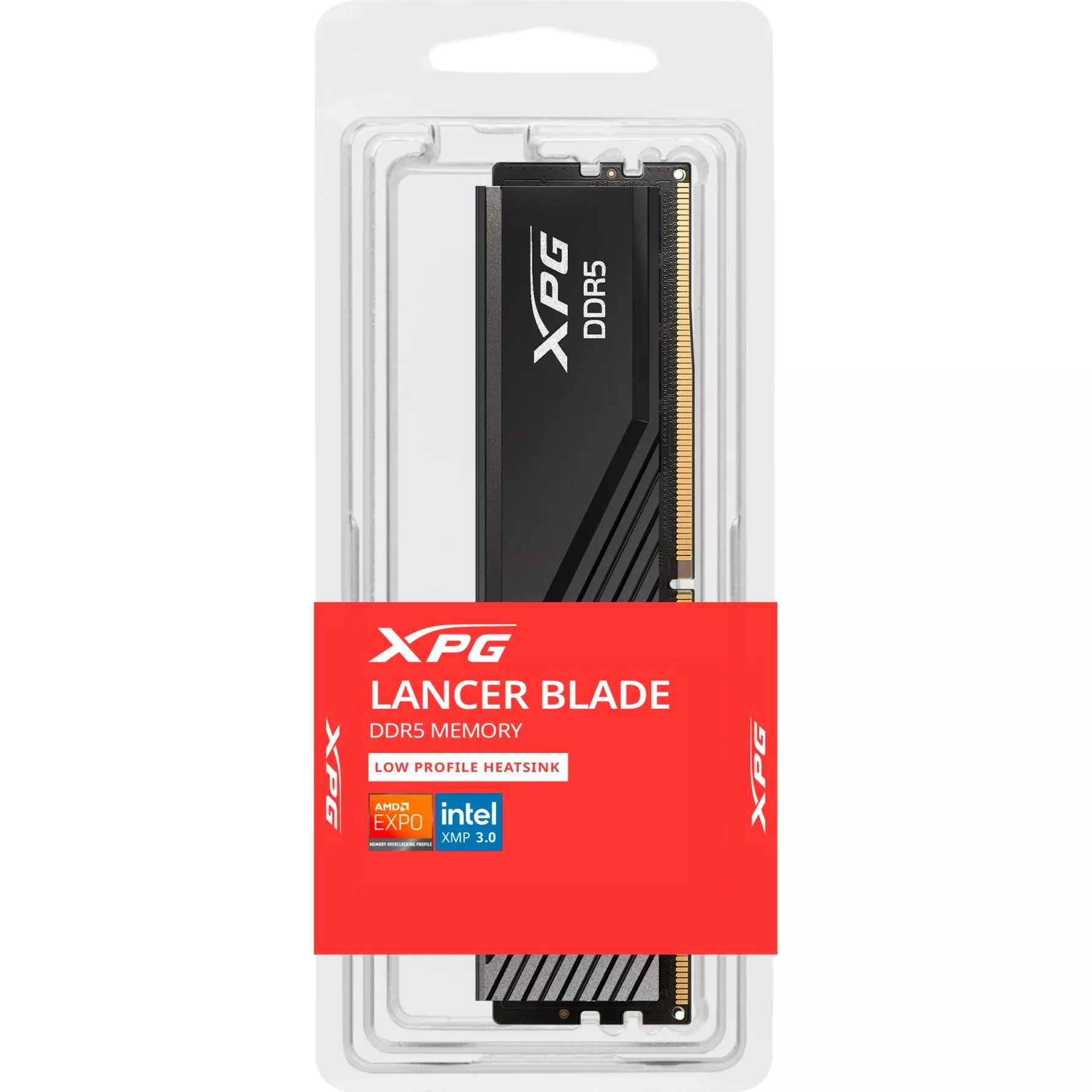 AX5U6000C4816G-SLABBK, Memoria RAM