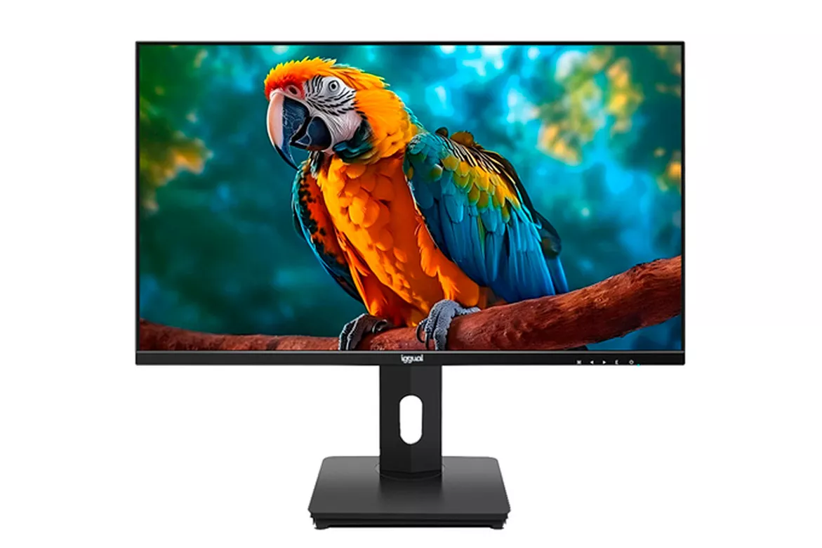 Monitor iggual 24″ 1080p 100Hz IPS Pivotante Sin Marco VESA Ajuste Altura