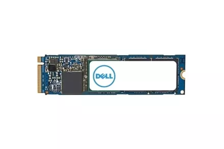 DELL - AC037409 unidad de estado sólido 1 TB M.2 PCI Express 4.0 NVMe 