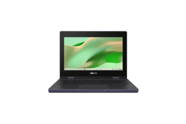 Asus Chromebook CR11 Flip CR1104FGA-NS0039 - Portátil 11.6