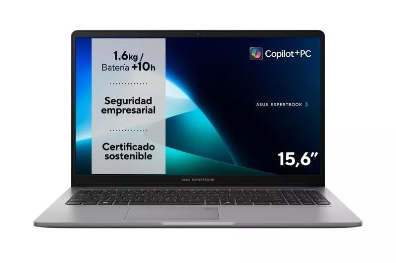 Asus ExpertBook P1 P1503CVA-S70676X - Portátil 15.6