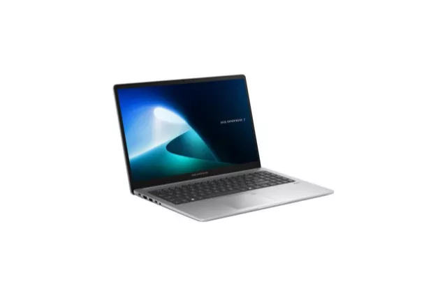 Asus ExpertBook P1 P1503CVA-S70671- Portátil 15.6