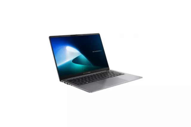 Asus ExpertBook P5 P5405CSA-NZ0341X