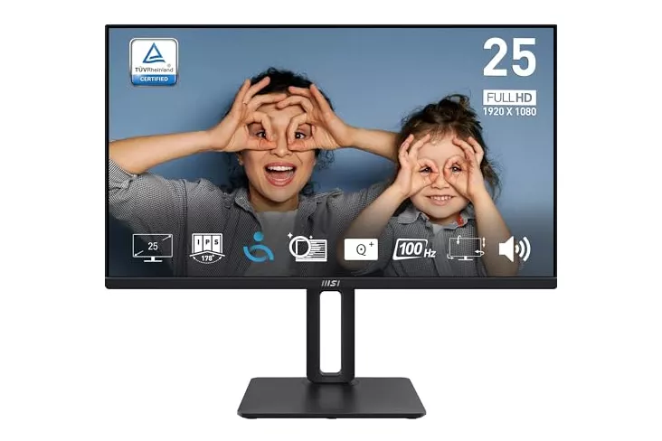 MSI PRO MP251P 24.5