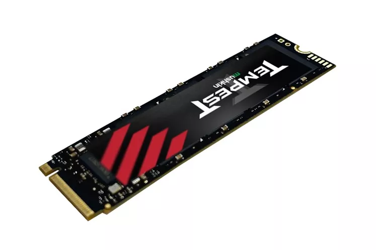 MKNSSDTS256GB-D8, Unidad de estado sólido