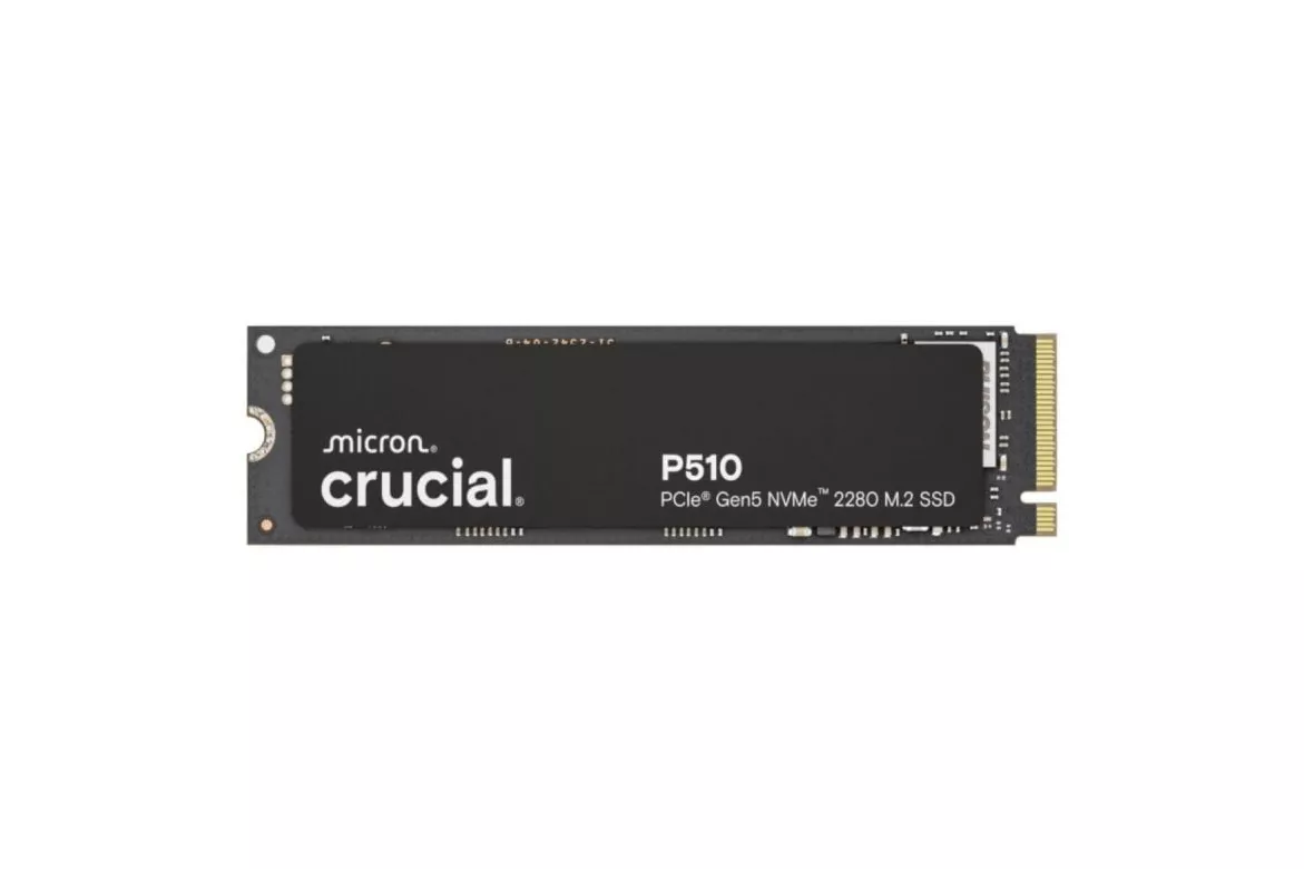 SSD Crucial P510 2TB M.2 PCIe 5.0 NVMe 10000MB/s 8700MB/s TLC Negro