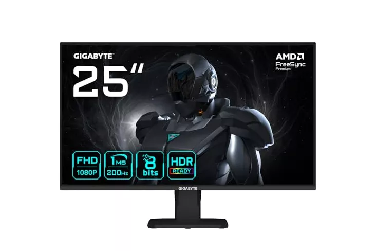 Gigabyte GS25F2 - Monitor gaming 24.5