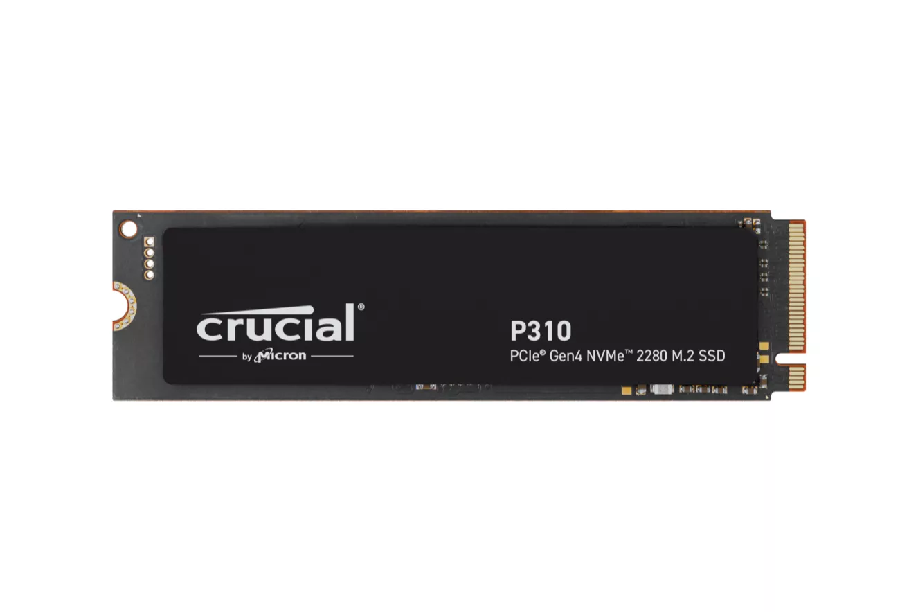 P310 4 TB M.2 PCI Express 4.0 NVMe