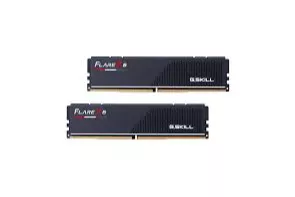 F5-6000J3644D64GX4-FX5, Memoria RAM