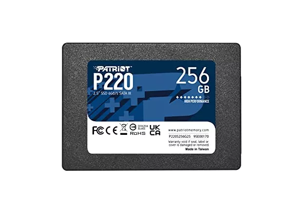 P220 256 GB, Unidad de estado sólido