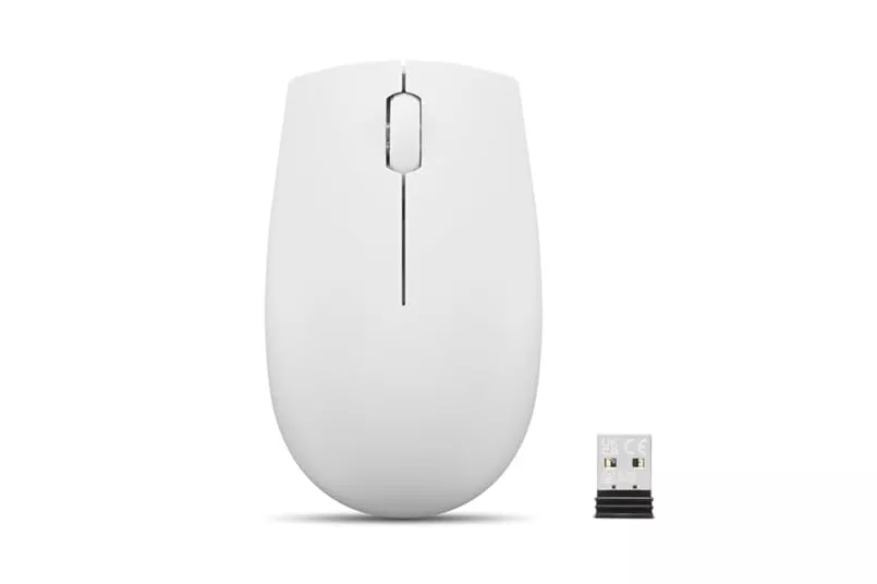 Ratón Lenovo 300 Compact Wireless Cloud Grey