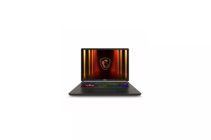 Portátil MSI Vector 17 AI 17