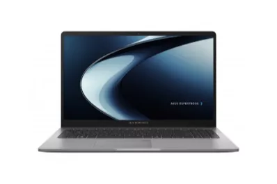 Asus ExpertBook P1 PM1503CDA-S70040 - Portátil 15.6