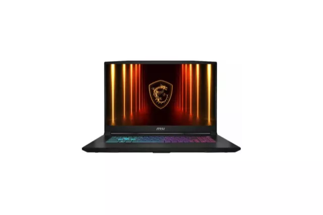 MSI Katana 17 HX B14WFK-082XES - Portátil 17.3