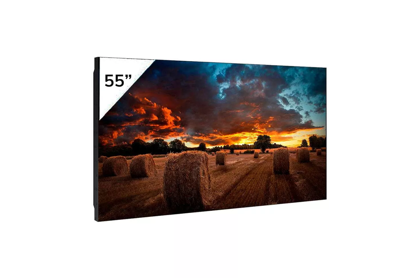 Monitor Samsung VM55B-U 55