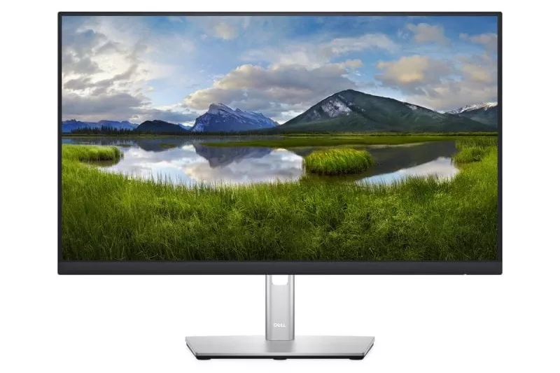 Monitor Dell P2422H 23.8