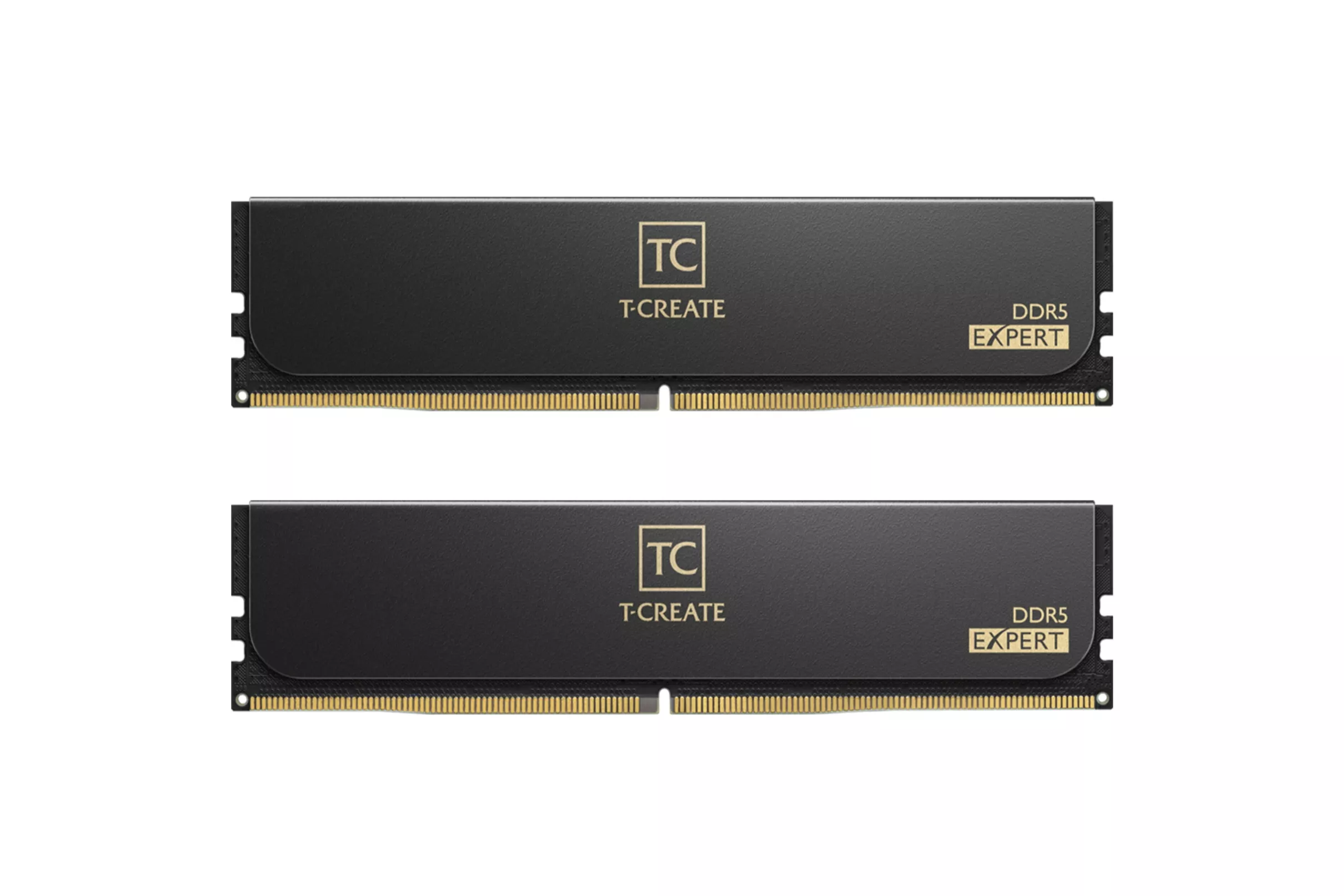 TeamGroup Expert 48GB (2x24GB) DDR5 7200MHz CL34 - Memoria RAM