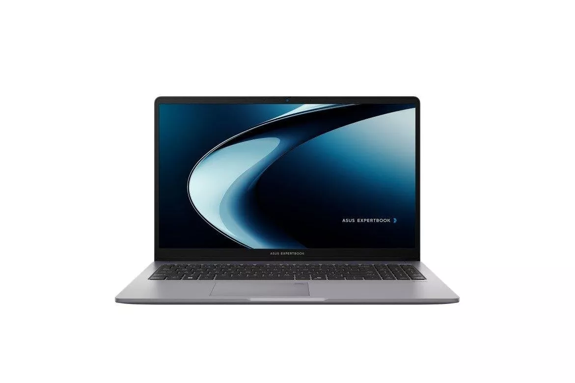 Asus ExpertBook P1 PM1503CDA-S70045W - Portátil 15.6
