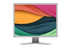 Monitor Eizo FlexScan S2134 21,3