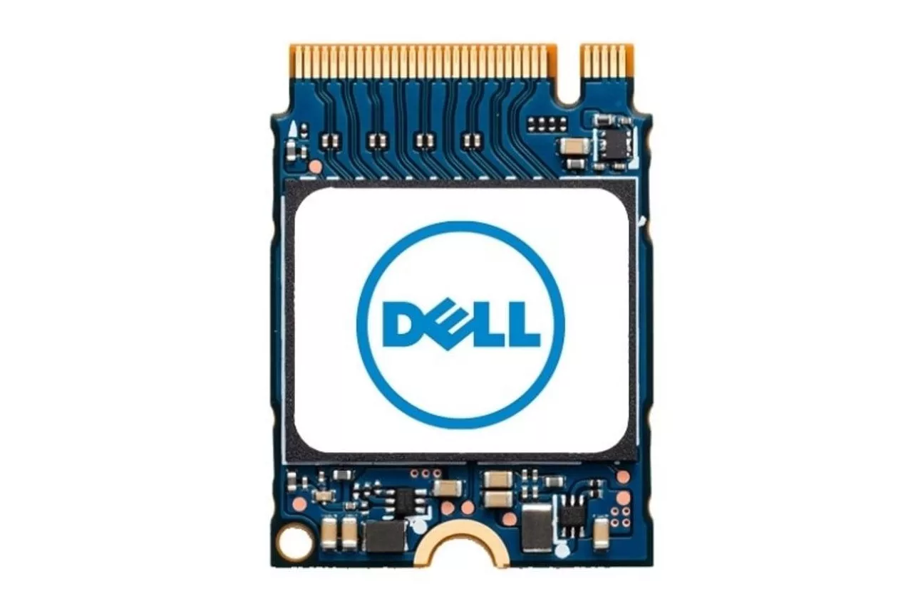 Disco Duro DELL SNP112233P/256G 256 GB M.2 NVMe Alta Velocidad Universal
