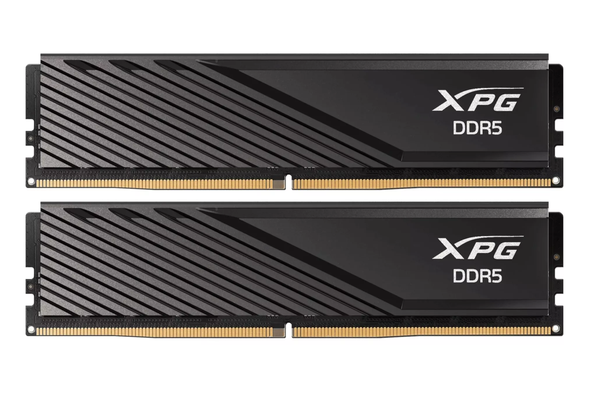 ADATA AX5U5600C468G-DTLABBK, Memoria RAM