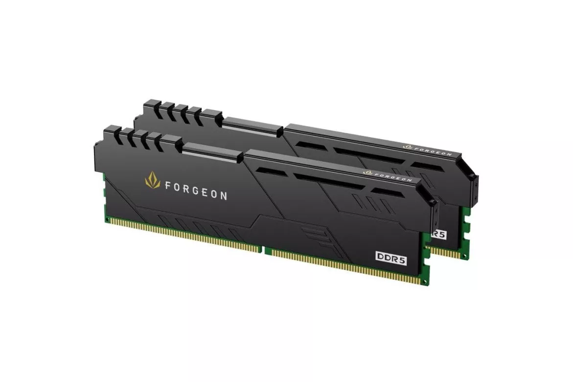 Memoria RAM Forgeon Cyclone PRO DDR5 6000 MHz 32 GB 2x16GB CL30 Negra