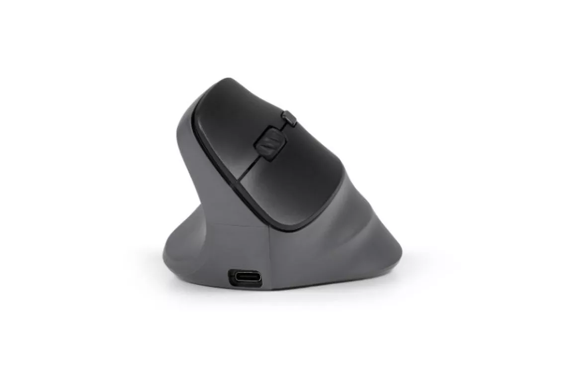 Rat&oacute;n BakkerElkhuizen PRF Pro Inal&aacute;mbrico y USB-C 2400 DPI Negro Gris Vertical Zurdo
